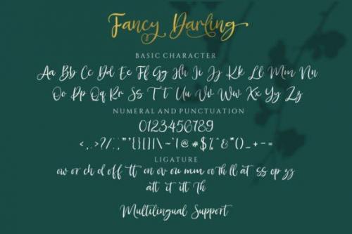 Fancy Darling Calligraphy Font 11