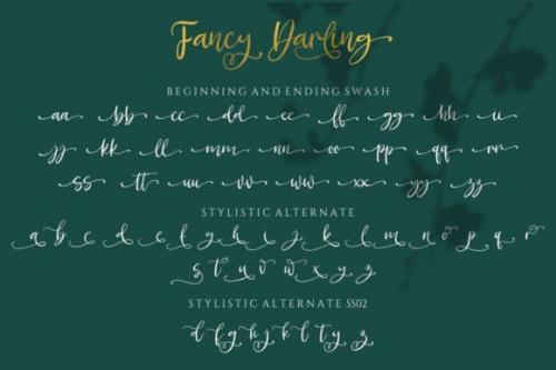 Fancy Darling Calligraphy Font 12