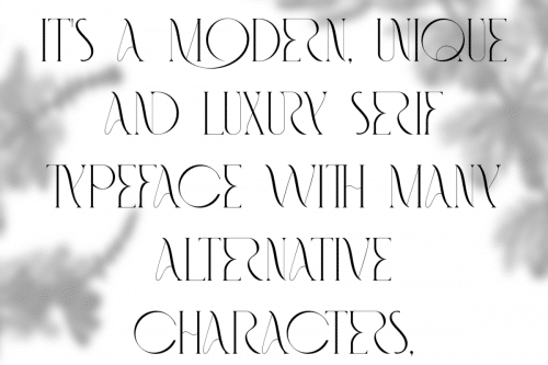 Fashionable Font 5