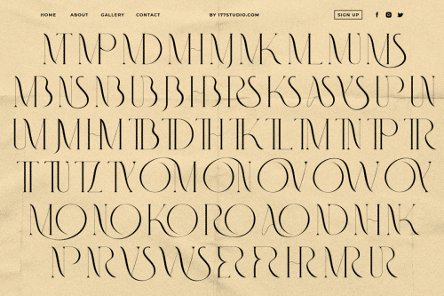Fashionable Font 7