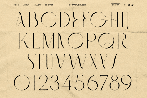 Fashionable Font 8