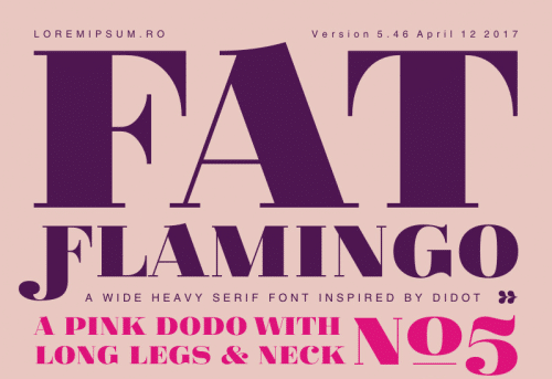 Fat-Flamingo-5-Font-0