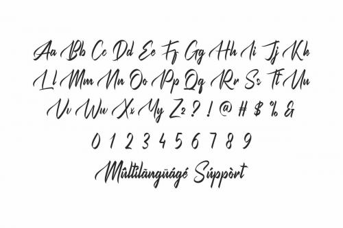 Fracktion Calligraphy Font 4