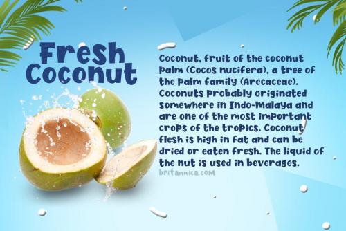 Fresh Coconut Font 2