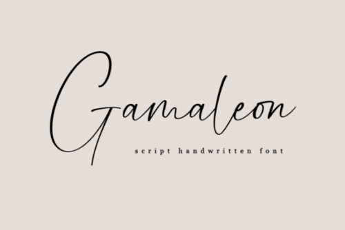 Gamaleon Script Font 1