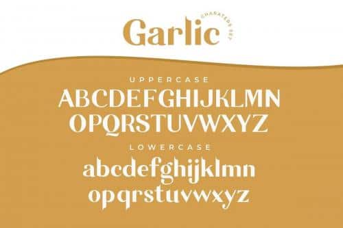 Garlic Elegant Font 14