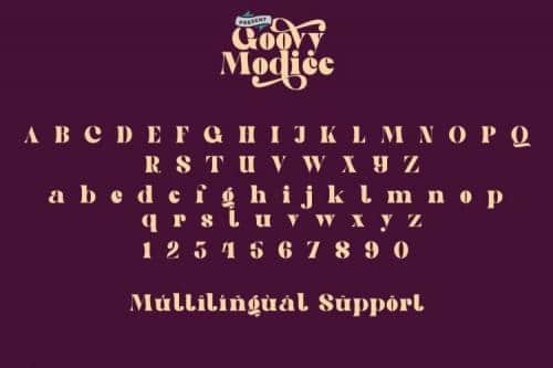 Goovy Modice Serif Font 6
