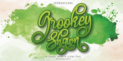 Grookey Shawn Script Font 1
