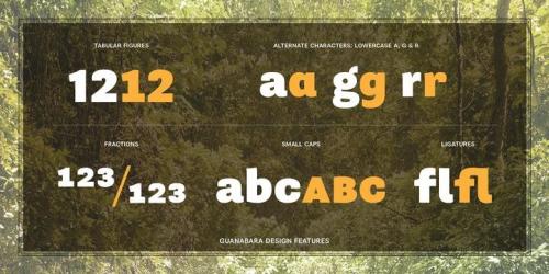 Guanabara Sans Font Family 4