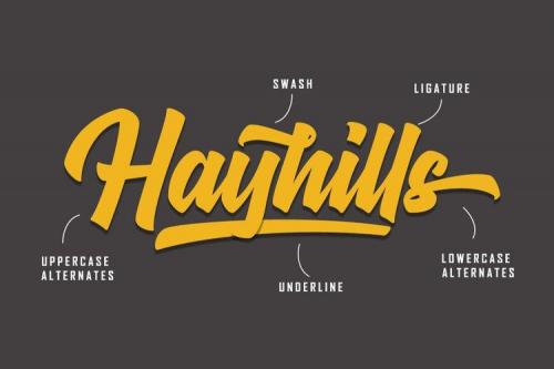 Hayhills Bold Script Font 1