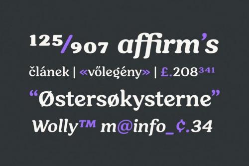 Hornbill Serif Font Family 3