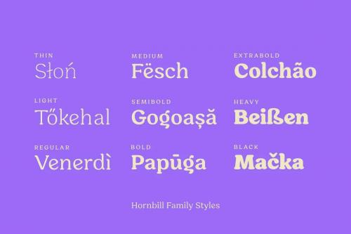 Hornbill Serif Font Family 6