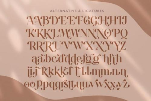 Hugolers Stylish Serif Font 5