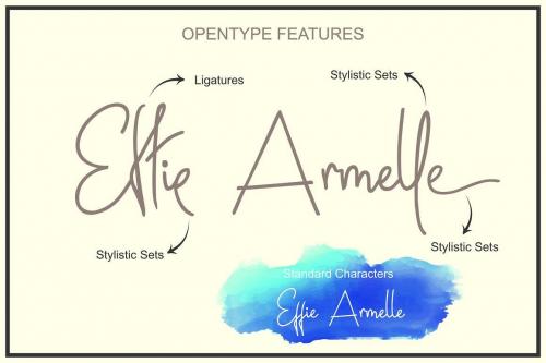 Janesville Script Font 3