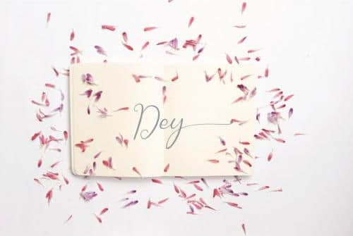 Jeliya Elbern Calligraphy Font 4
