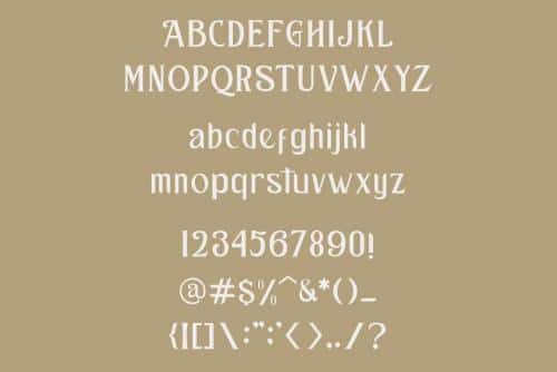 Kastel Voire Serif Font 11