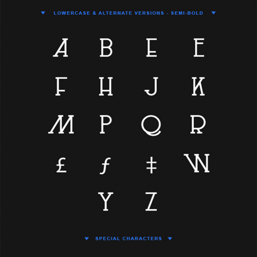 Le-Super-Serif-Font-31