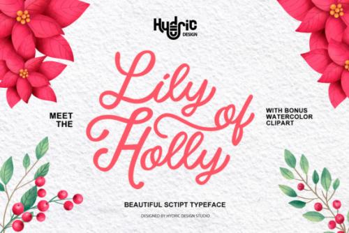 Lily Of Holly Calligraphy Font 1