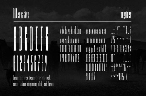 Long Rider Slab Serif Font 3