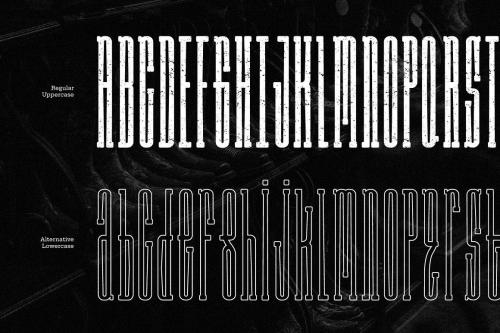 Long Rider Slab Serif Font 4