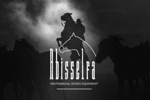 Long Rider Slab Serif Font 9