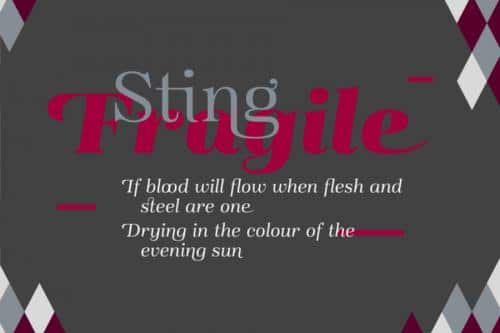 Magnel Display Font Family 1