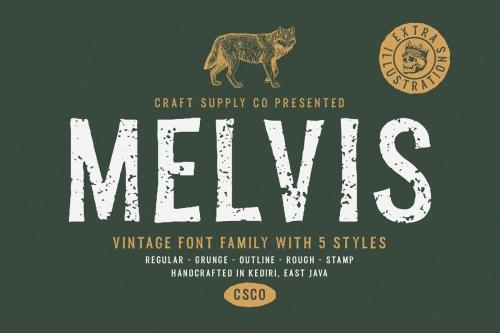 Melvis Vintage Font Family (1)
