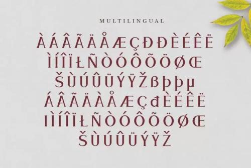 Meramoon Serif Font 7