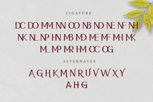 Meramoon Serif Font 8