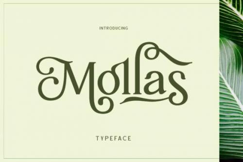 Mollas Serif Font 1