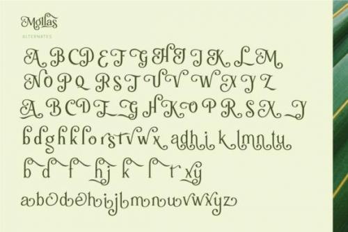 Mollas Serif Font 10