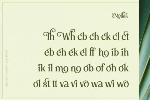 Mollas Serif Font 11