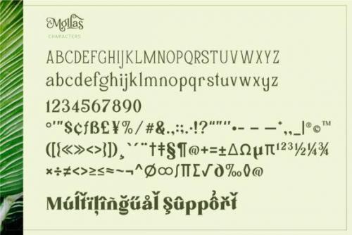 Mollas Serif Font 9