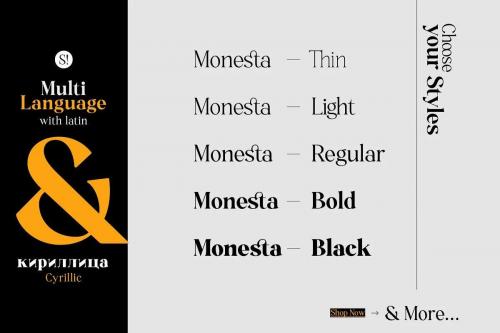 Monesta – Serif Font 4