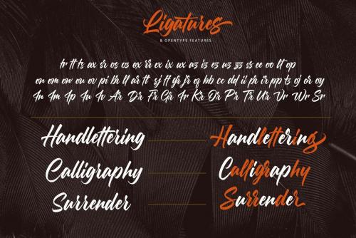 Morning Glory Bold Script Font 10
