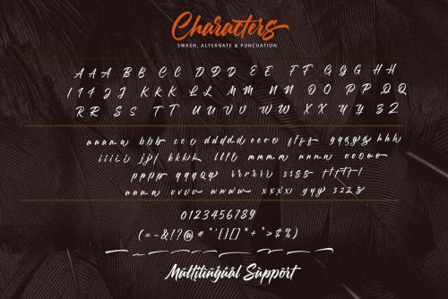 Morning Glory Bold Script Font 9