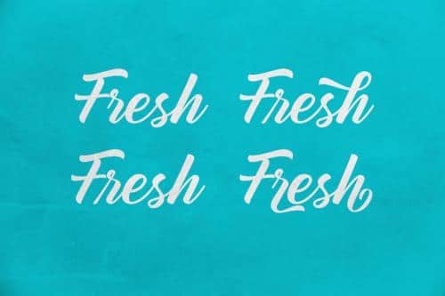 Mountain Bridge Script Font 4