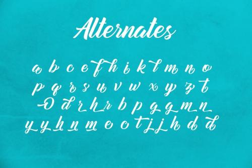 Mountain Bridge Script Font 7
