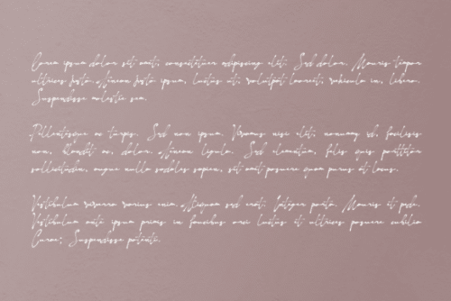 Naturaliste Script Font 10