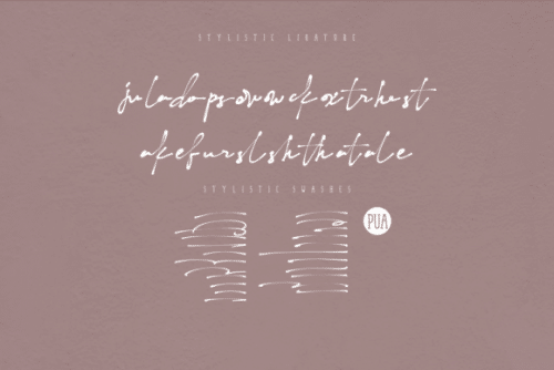 Naturaliste Script Font 12