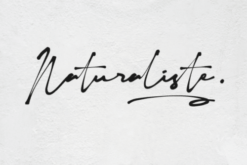 Naturaliste Script Font 13