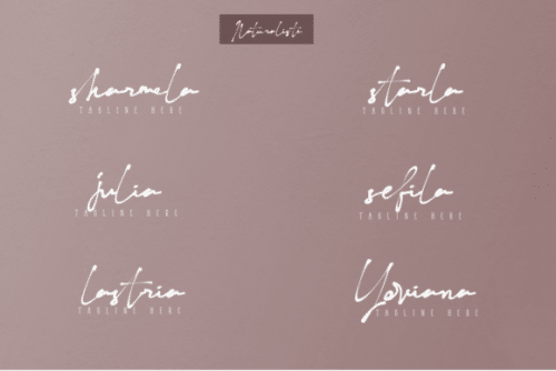 Naturaliste Script Font 9