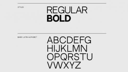 Neutral Face Sans Serif Font 1
