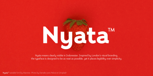 Nyata Sans Serif Font 1