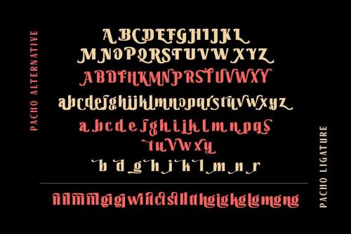Pacho – Serif Font Family 8