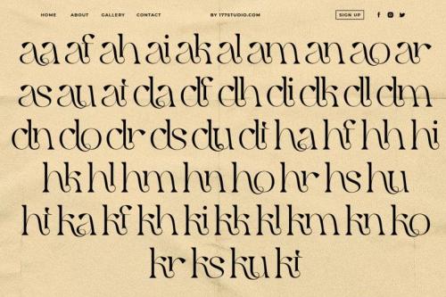 Qaitan – Modern Serif Font 6