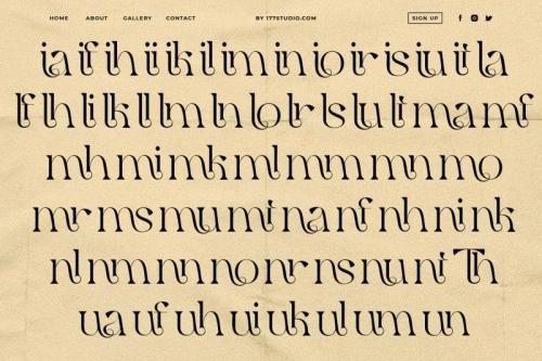 Qaitan – Modern Serif Font 7