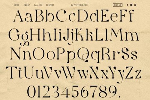 Qaitan – Modern Serif Font 8