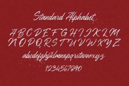 Ranshell Handbrush Font 8