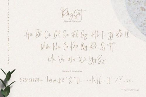 Raysat Elegant Signature Font 10